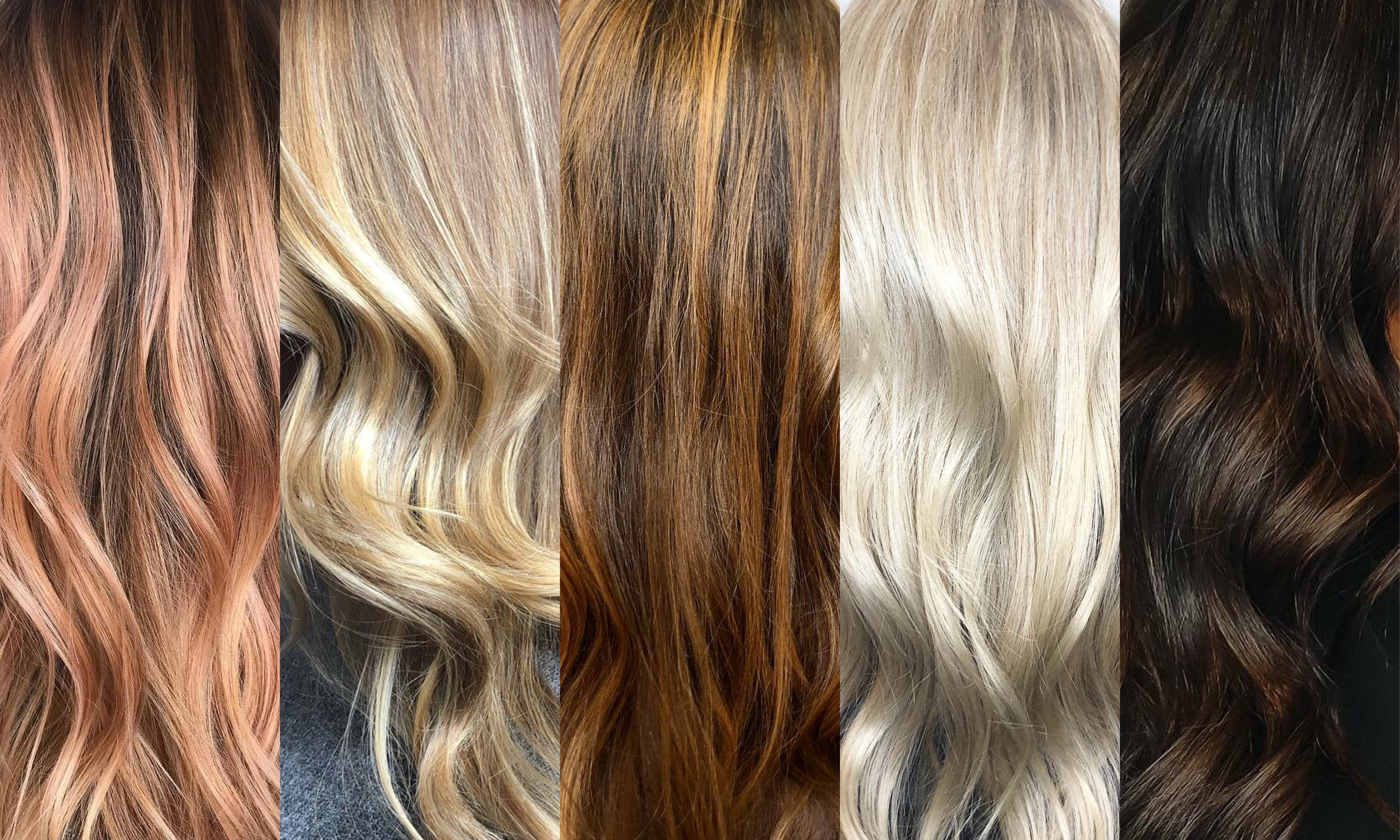 1. "Savannah Blonde" hair color at the salon - wide 4